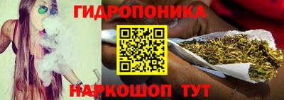 спиды Гагарин
