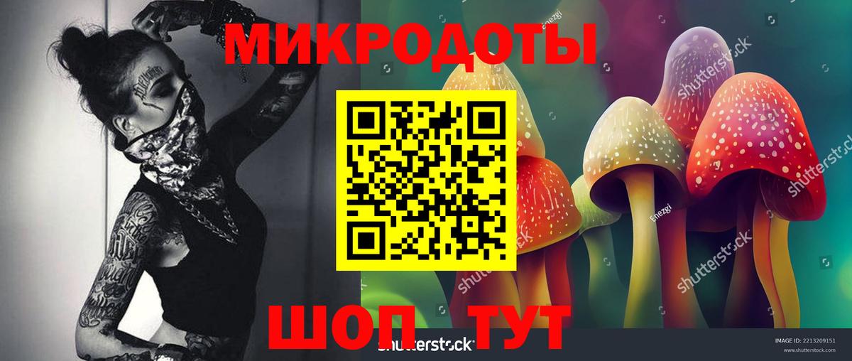 Псилоцибиновые грибы мицелий Нижний Новгород