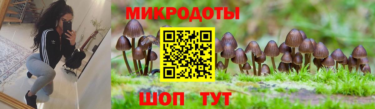 Псилоцибиновые грибы мухоморы  Галлюциногенные грибы Psilocybine cubensis  Вход с VPN  что такое наркотик  Нижний Новгород 